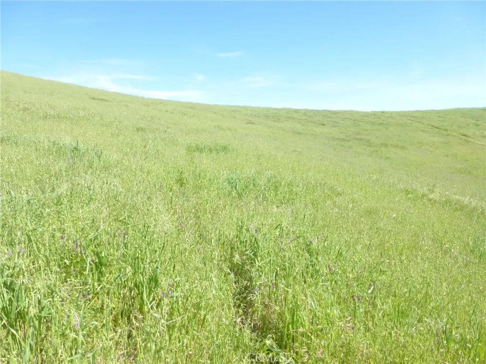 Douglas Rd. (Lot 41) San Miguel, CA 93451