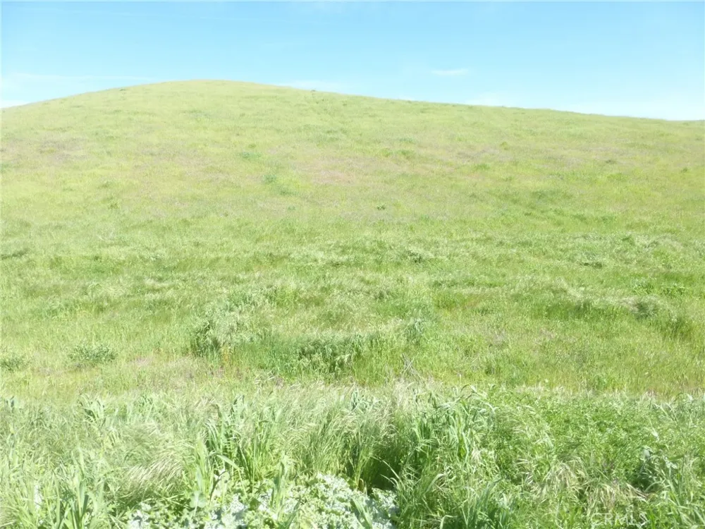 Douglas Rd. (Lot 41) San Miguel, CA 93451