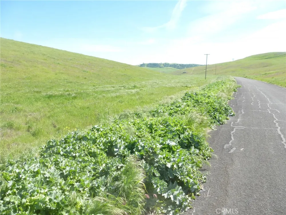 Douglas Rd. (Lot 41) San Miguel, CA 93451