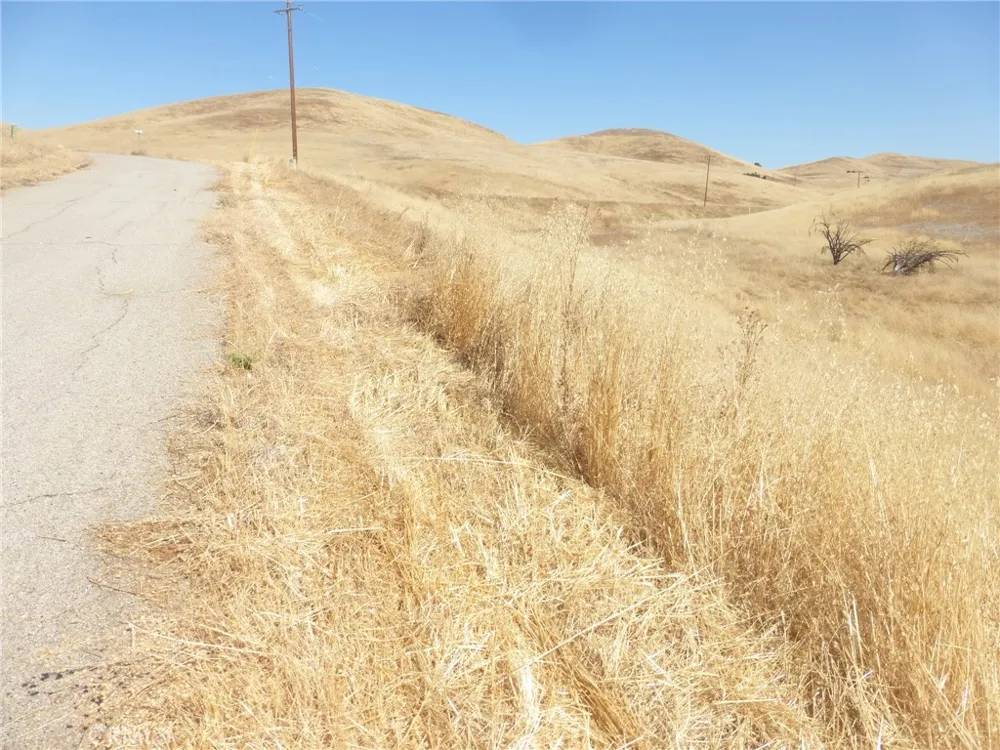 Douglas Rd. (Lot 43) San Miguel, CA 93451