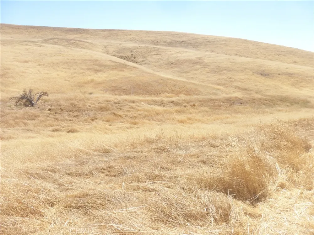 Douglas Rd. (Lot 43) San Miguel, CA 93451