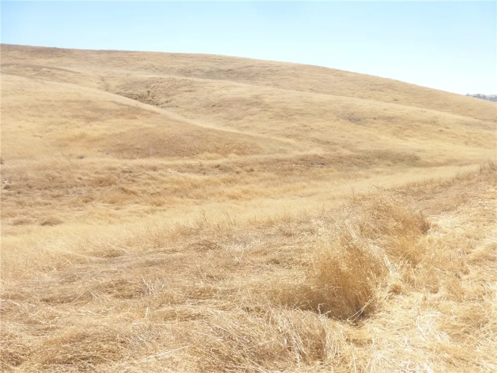Douglas Rd. (Lot 43) San Miguel, CA 93451