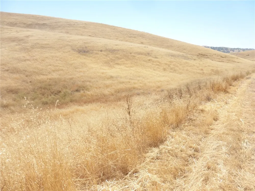 Douglas Rd. (Lot 43) San Miguel, CA 93451