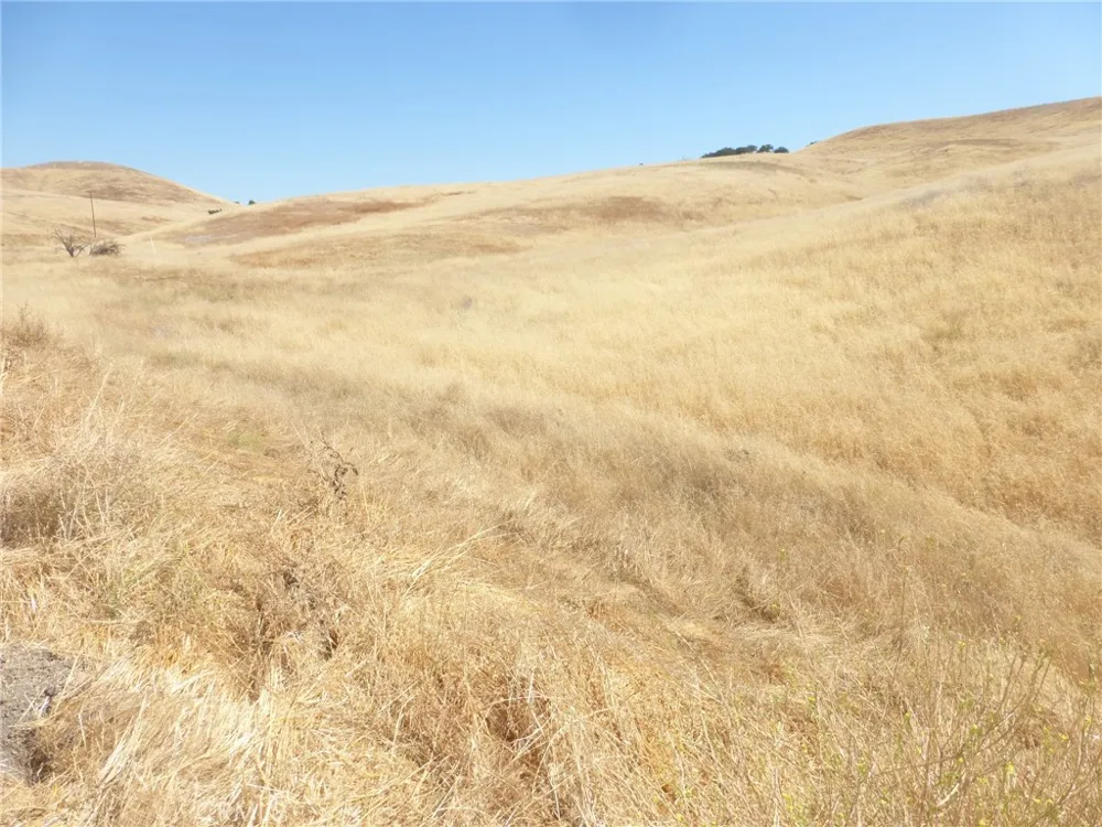 Douglas Rd. (Lot 43) San Miguel, CA 93451