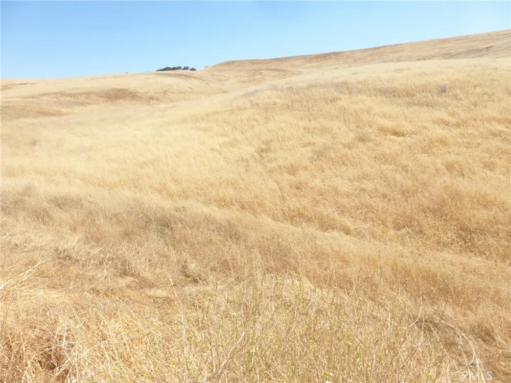 Douglas Rd. (Lot 43) San Miguel, CA 93451