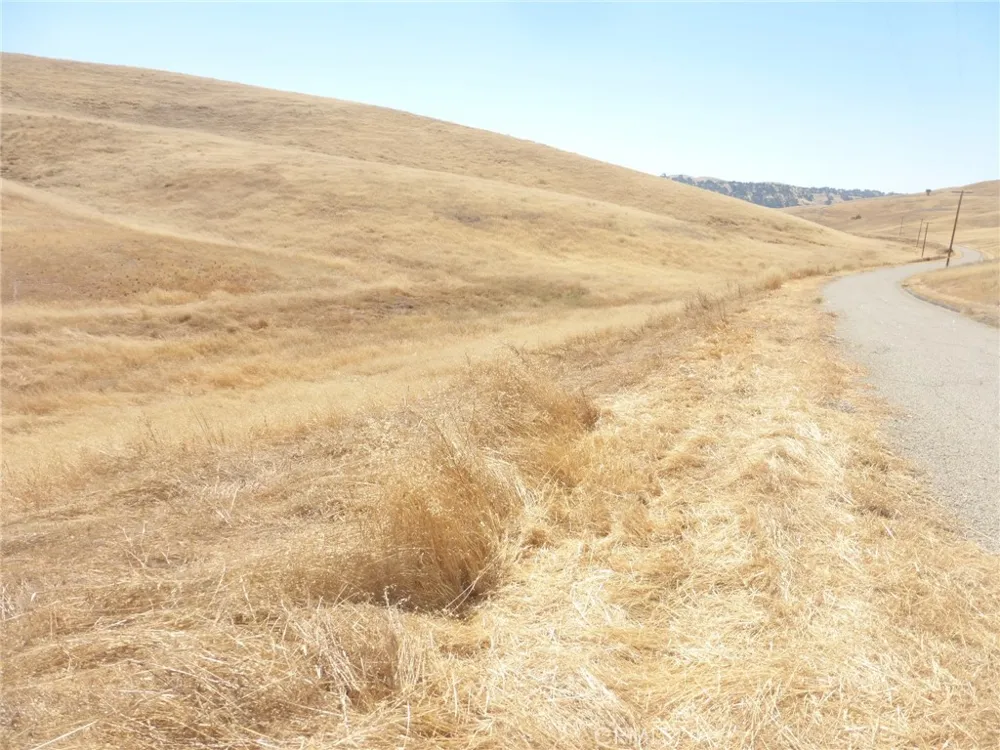 Douglas Rd. (Lot 43) San Miguel, CA 93451