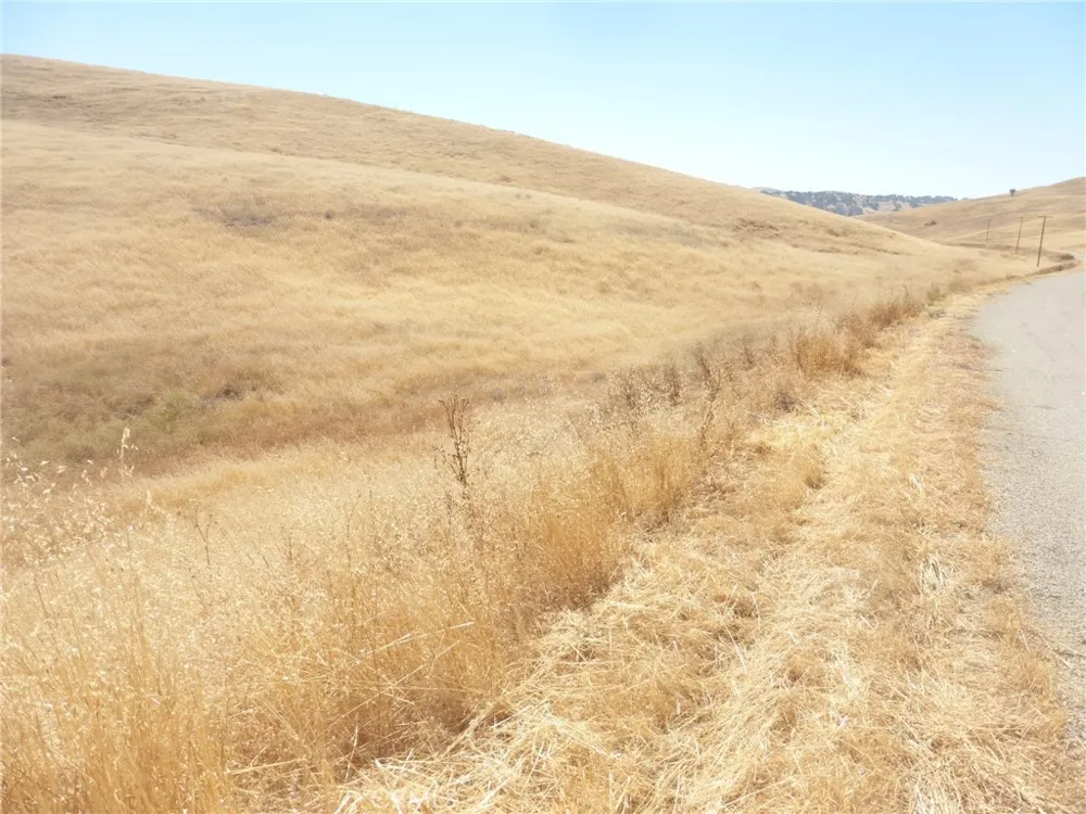Douglas Rd. (Lot 43) San Miguel, CA 93451