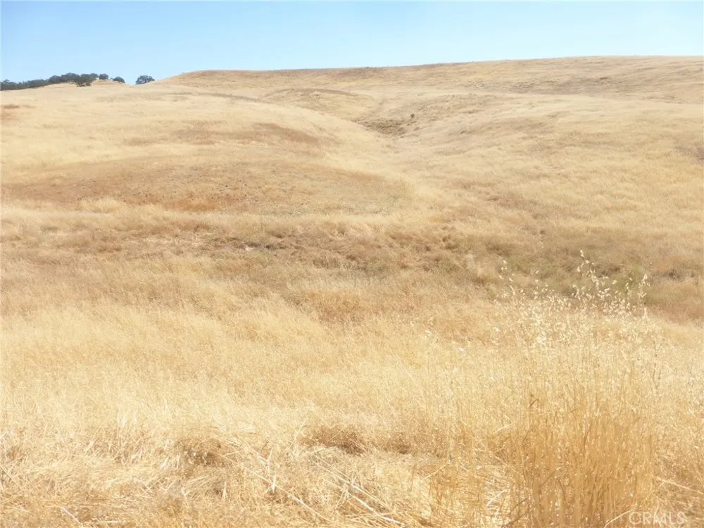 Douglas Rd. (Lot 43) San Miguel, CA 93451