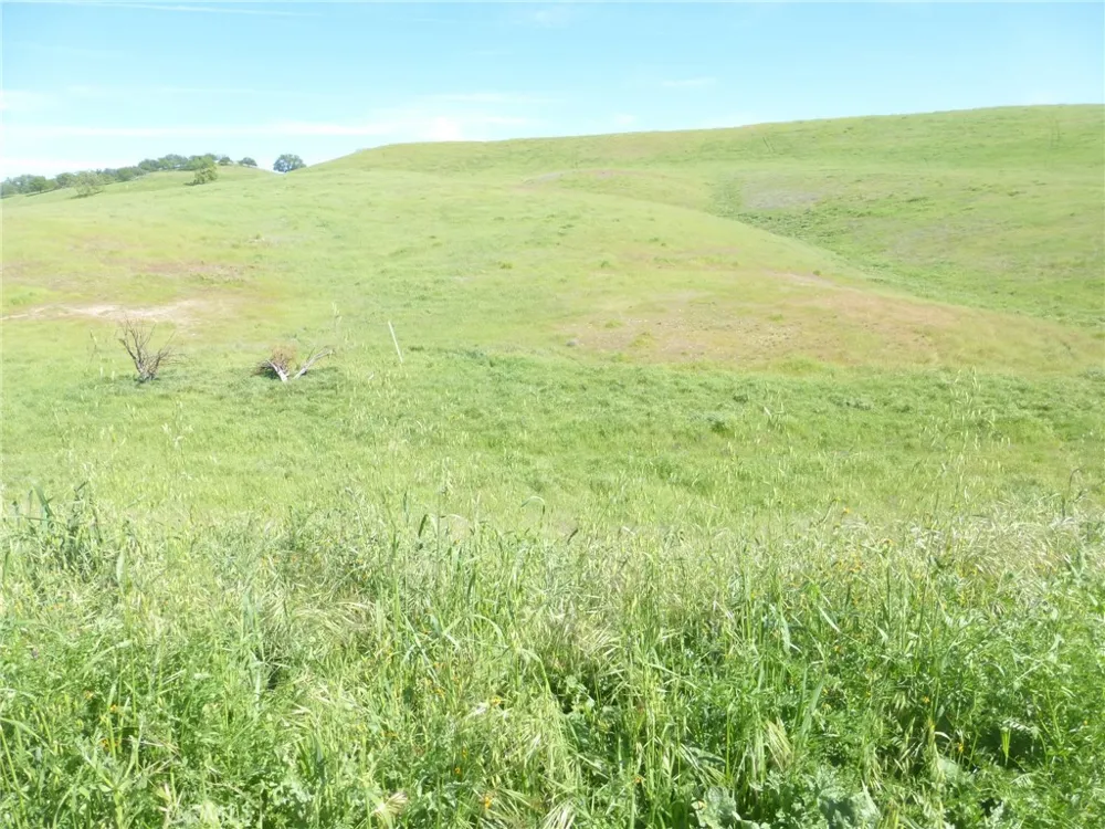 Douglas Rd. (Lot 43) San Miguel, CA 93451