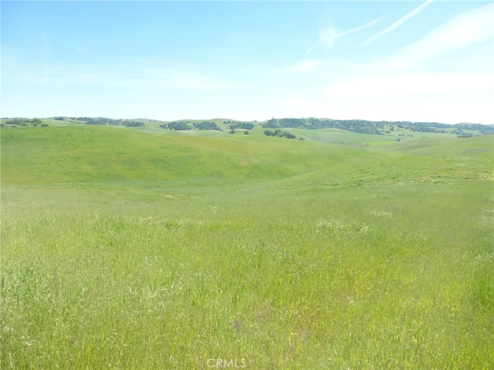 Douglas Rd. (Lot 43) San Miguel, CA 93451