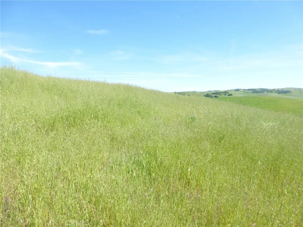 Douglas Rd. (Lot 43) San Miguel, CA 93451