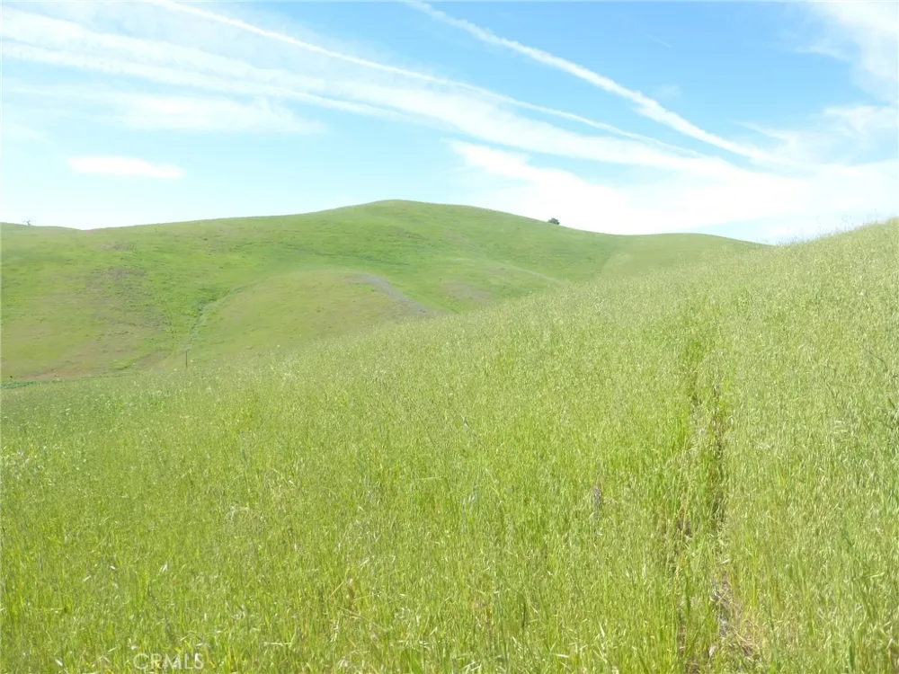 Douglas Rd. (Lot 43) San Miguel, CA 93451