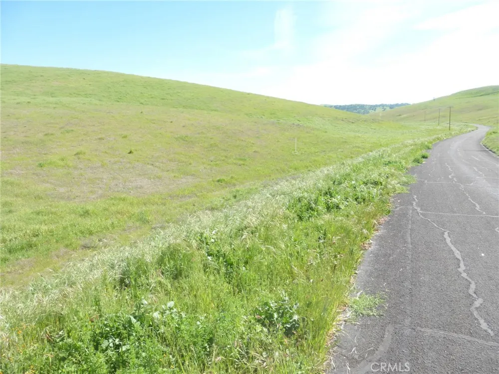 Douglas Rd. (Lot 43) San Miguel, CA 93451