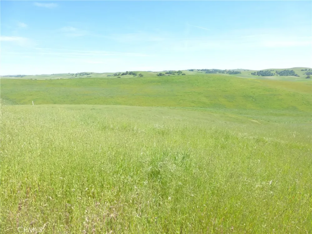 Douglas Rd. (Lot 43) San Miguel, CA 93451