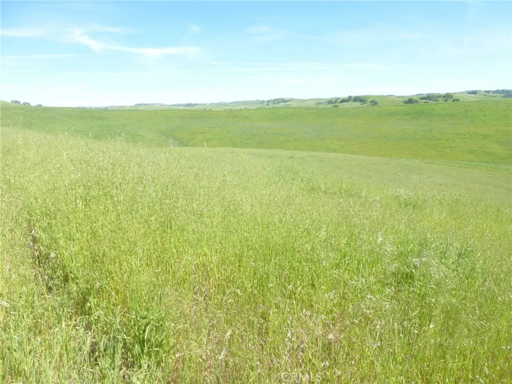 Douglas Rd. (Lot 43) San Miguel, CA 93451