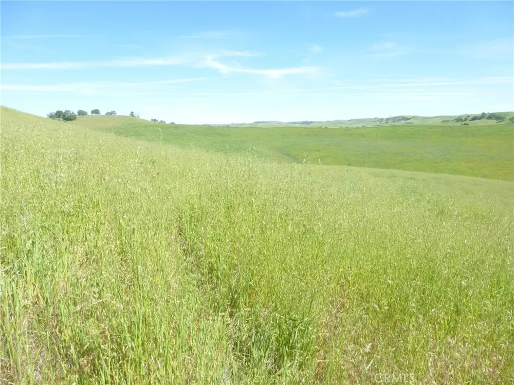Douglas Rd. (Lot 43) San Miguel, CA 93451