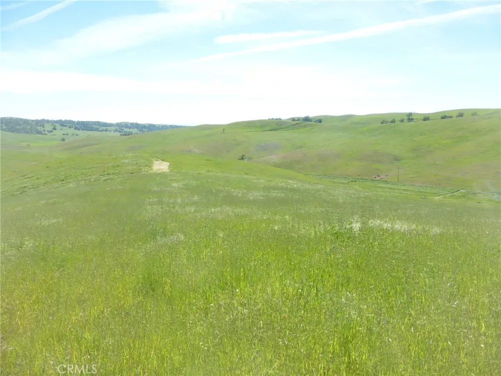 Douglas Rd. (Lot 43) San Miguel, CA 93451