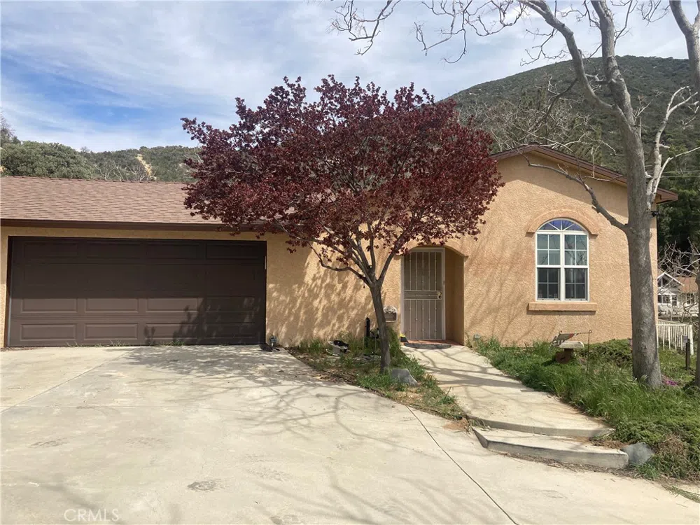 40335 Calle Maceta De Flores