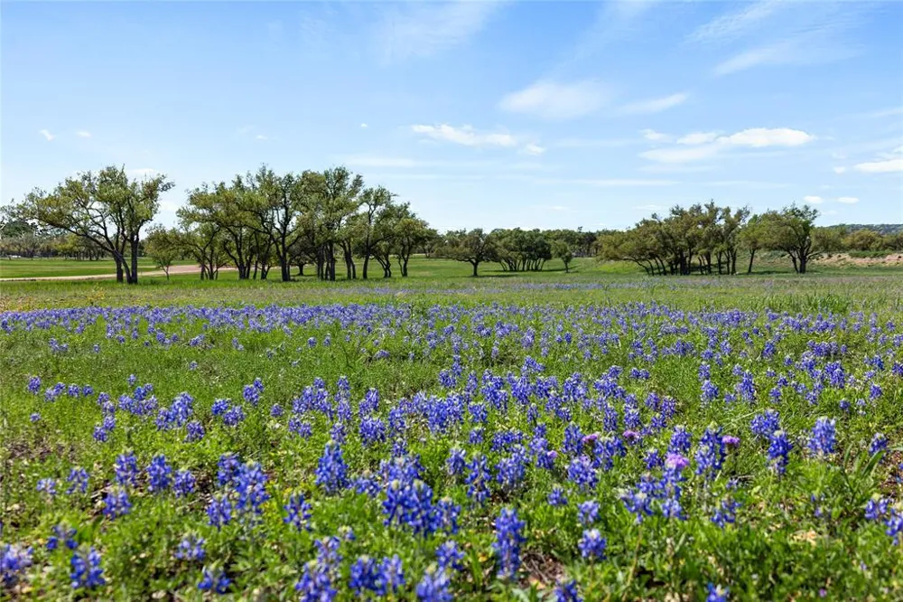 3516 Mount Sharp Road #2 Wimberley, TX 78676