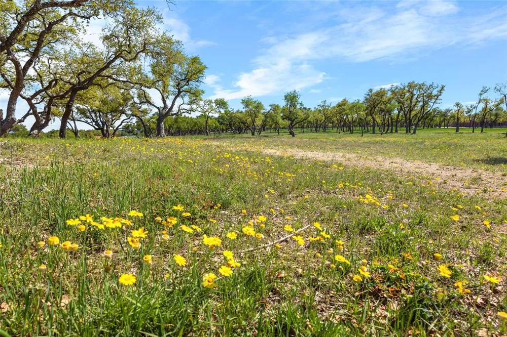 3516 Mount Sharp Road #2 Wimberley, TX 78676