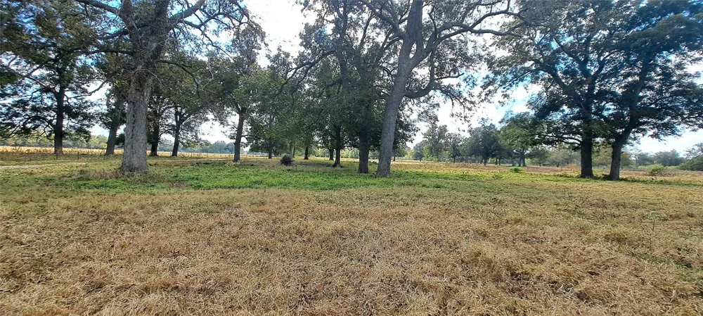 3432 County Road 206 Road Cameron, TX 76520