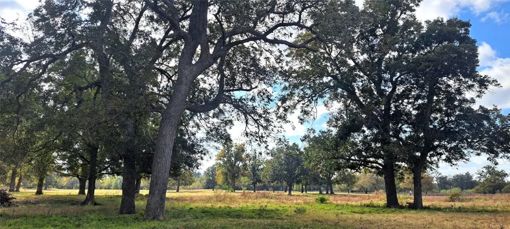 3432 County Road 206 Road Cameron, TX 76520