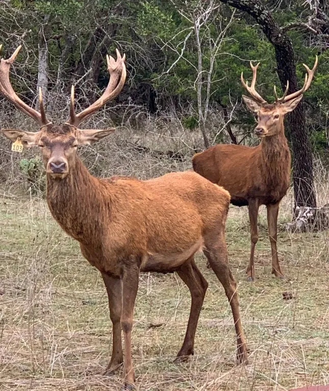 281 Highway Lampasas, TX 76550