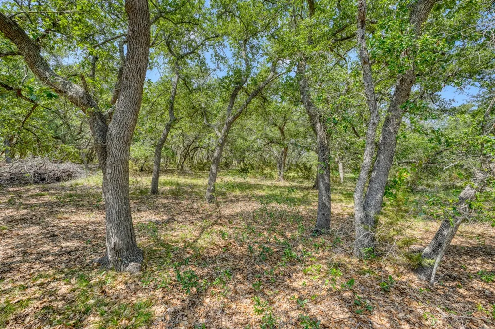 545 County Road 258 Bertram, TX 78605