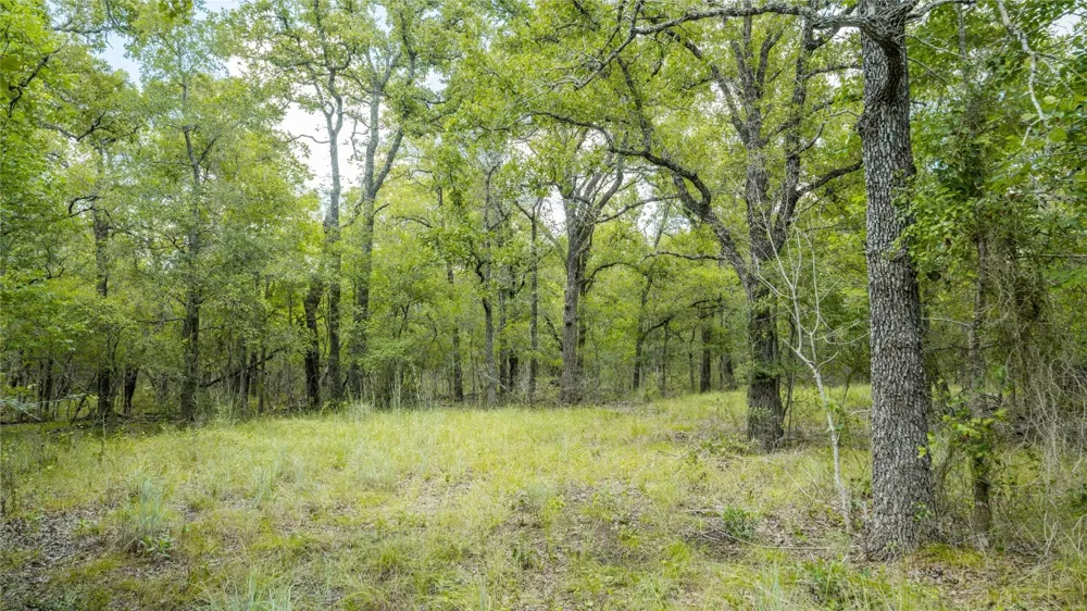 418 County Road 405 Buckholts, TX 76518