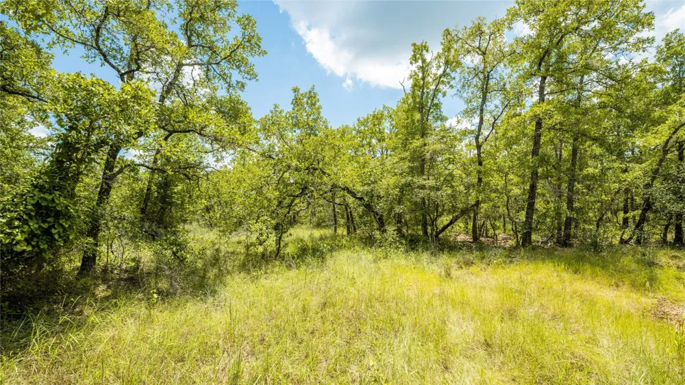 418 County Road 405 Buckholts, TX 76518