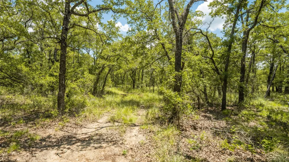 418 County Road 405 Buckholts, TX 76518