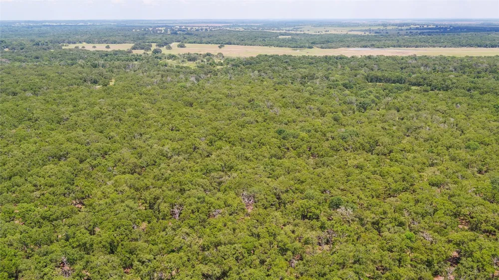 418 County Road 405 Buckholts, TX 76518