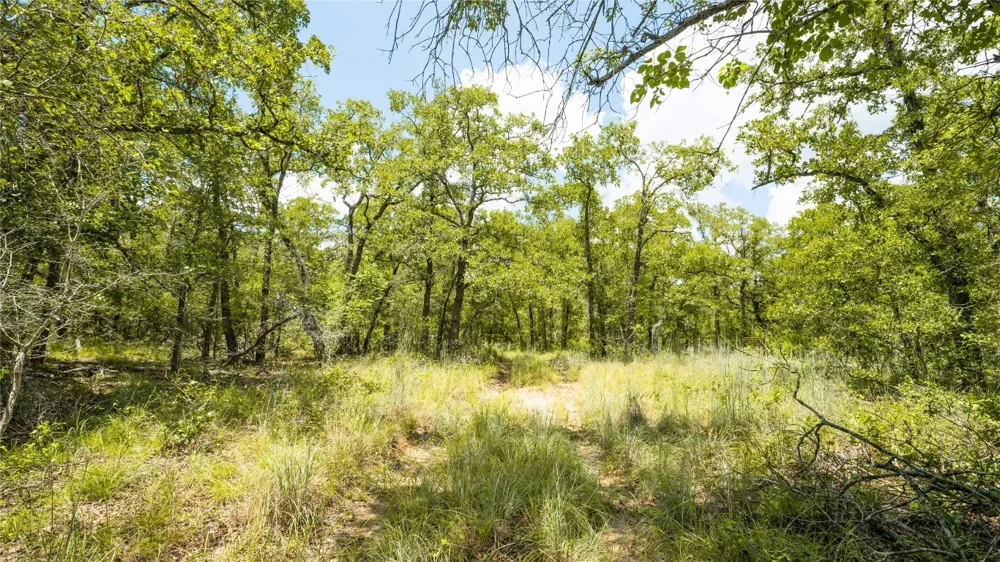 418 County Road 405 Buckholts, TX 76518