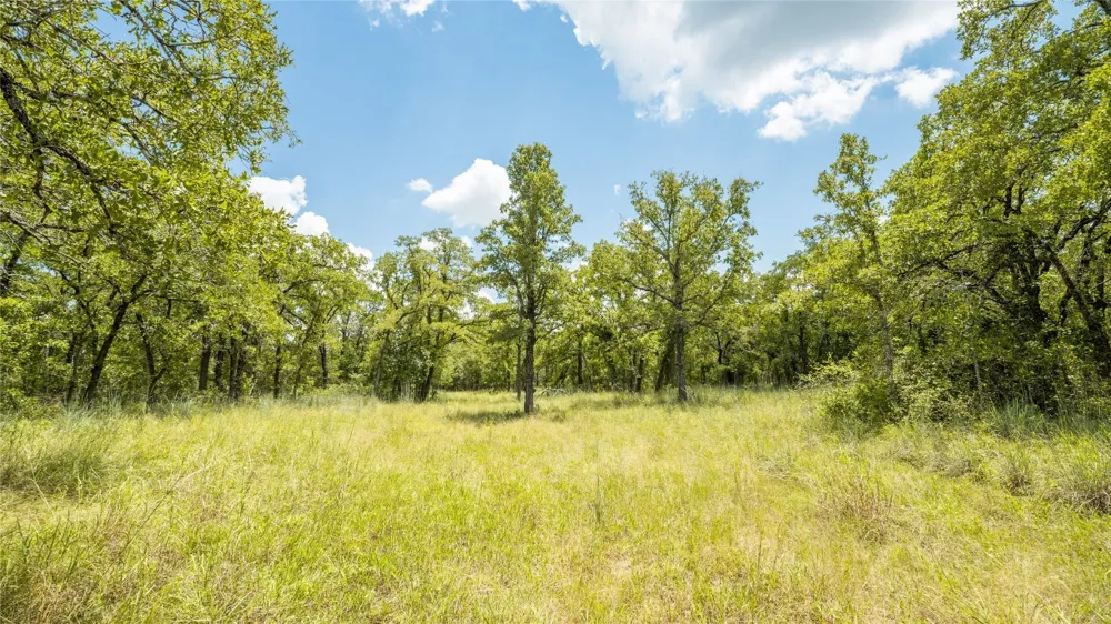 418 County Road 405 Buckholts, TX 76518