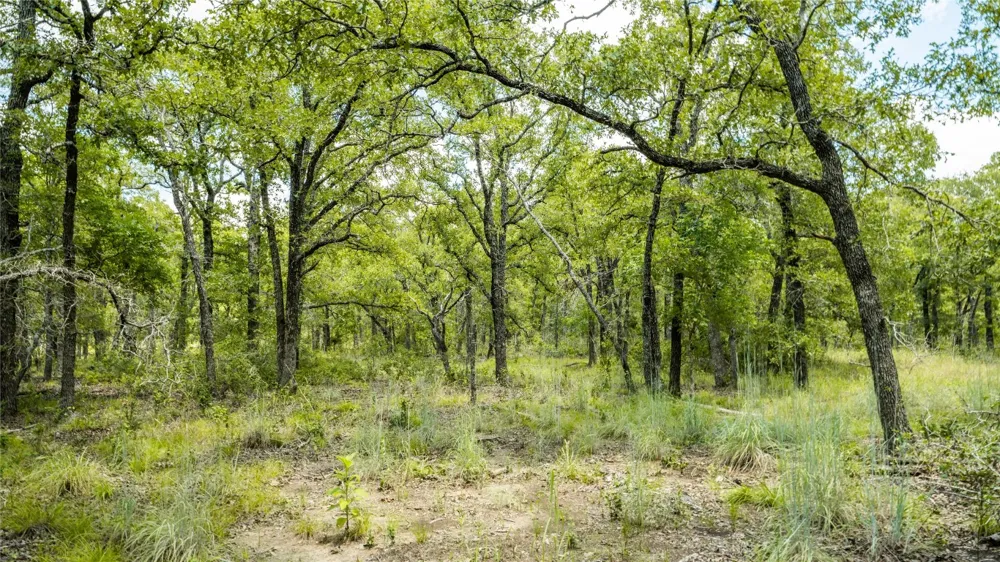 418 County Road 405 Buckholts, TX 76518