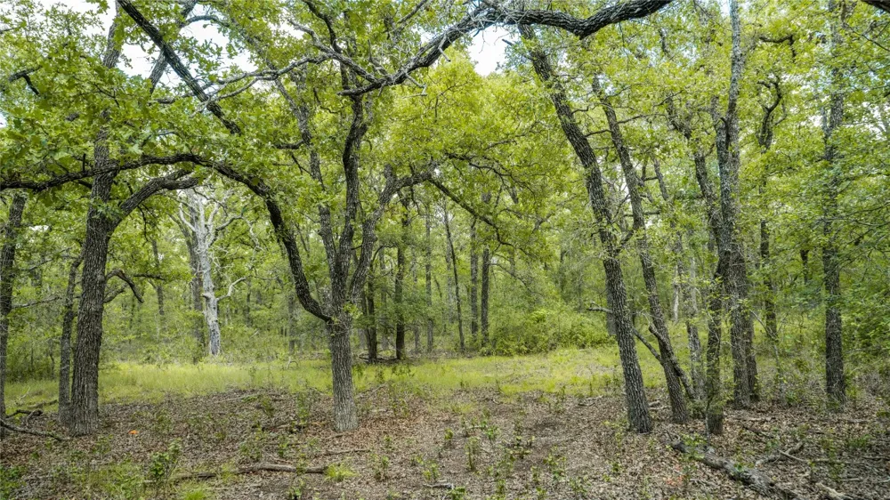 418 County Road 405 Buckholts, TX 76518