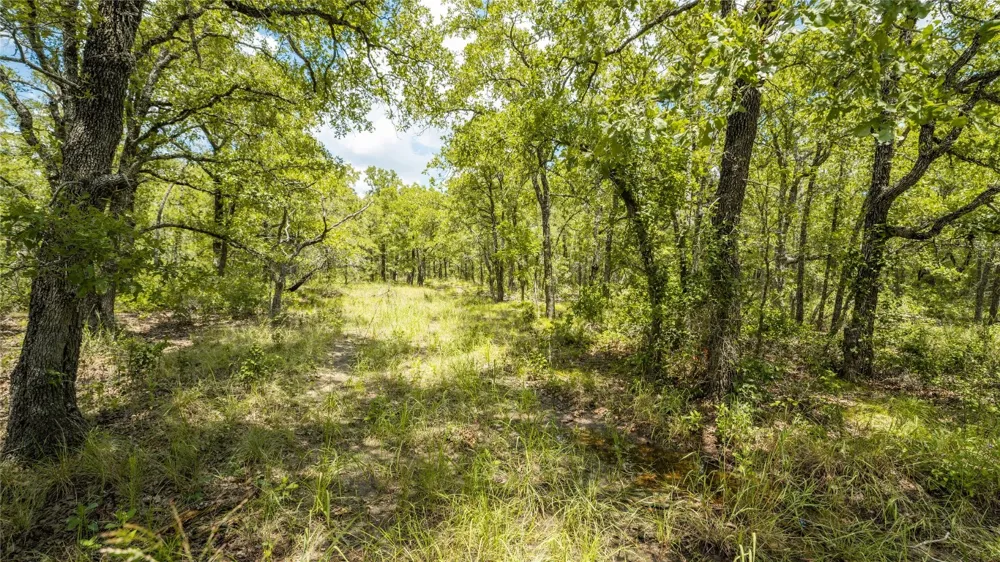 418 County Road 405 Buckholts, TX 76518