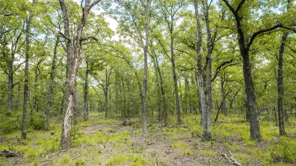 418 County Road 405 Buckholts, TX 76518