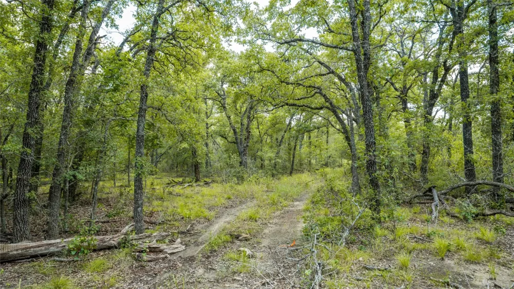 418 County Road 405 Buckholts, TX 76518