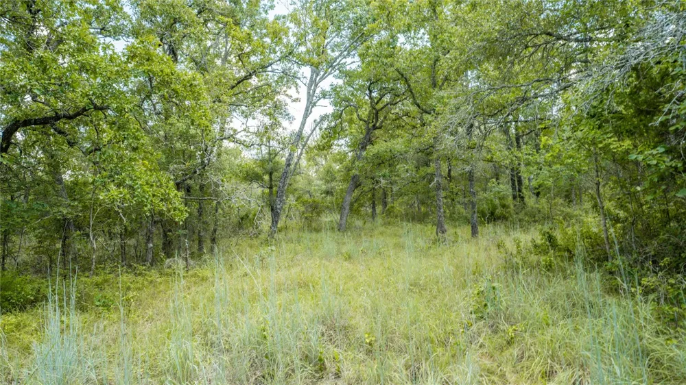418 County Road 405 Buckholts, TX 76518