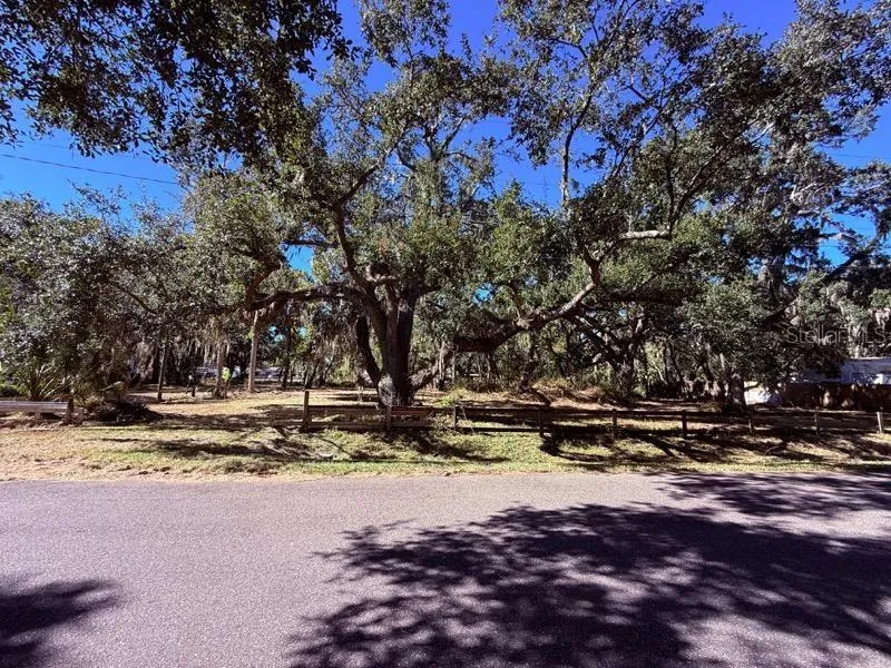 1204 DAVIES ROAD Brandon, FL 33511
