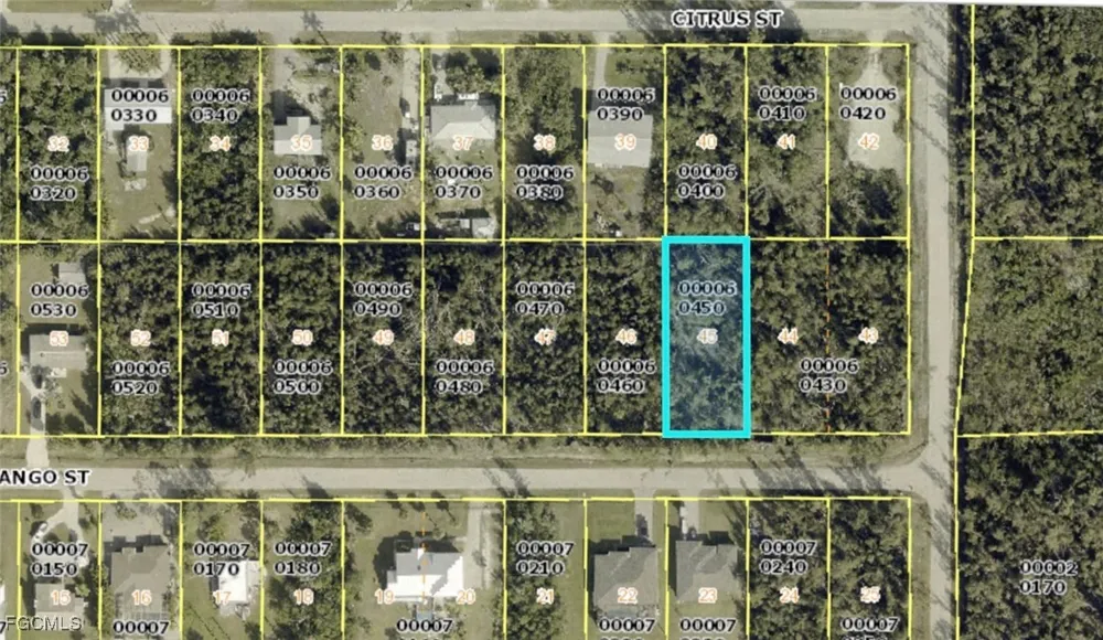 Mango Street St James City, FL 33956