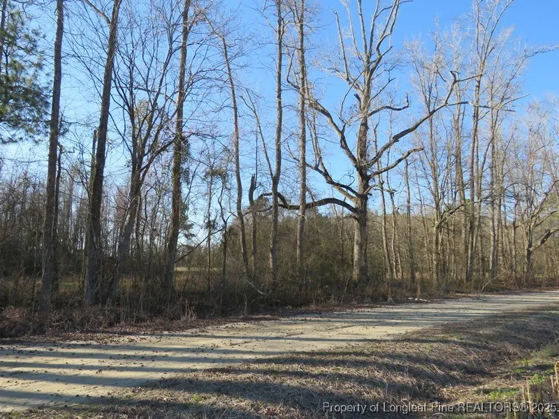 Kehukee Drive Parkton, NC 28371