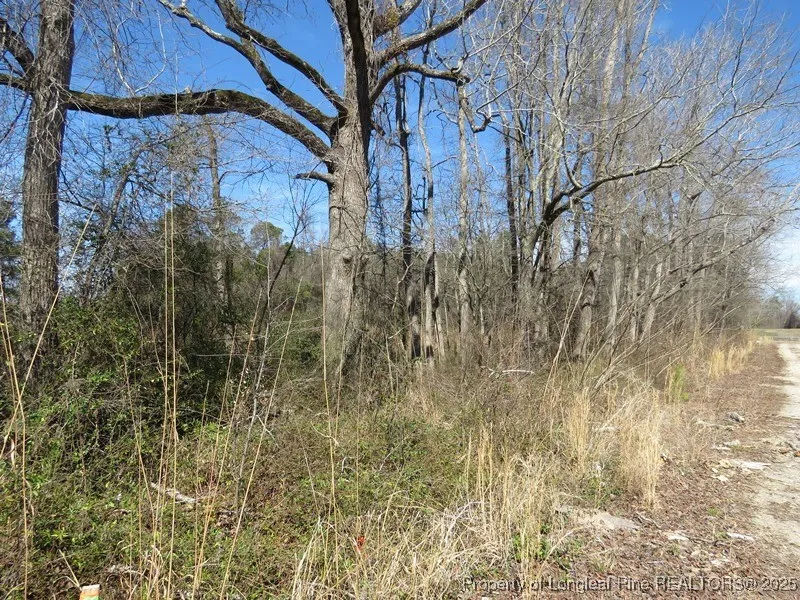 Kehukee Drive Parkton, NC 28371