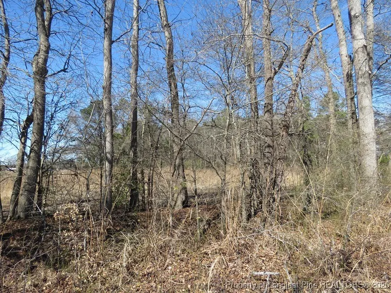 Kehukee Drive Parkton, NC 28371