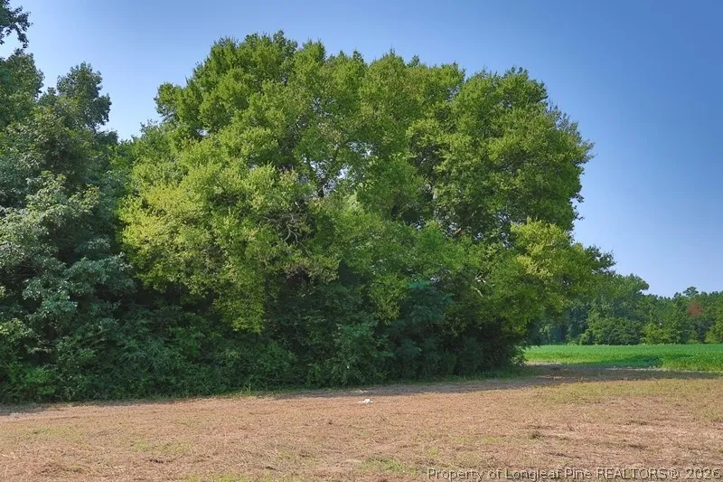 Kehukee Drive Parkton, NC 28371