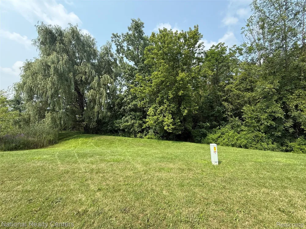 10421 Valley Creek Drive Goodrich Village, MI 48438