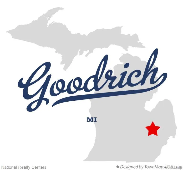 10421 Valley Creek Drive Goodrich Village, MI 48438