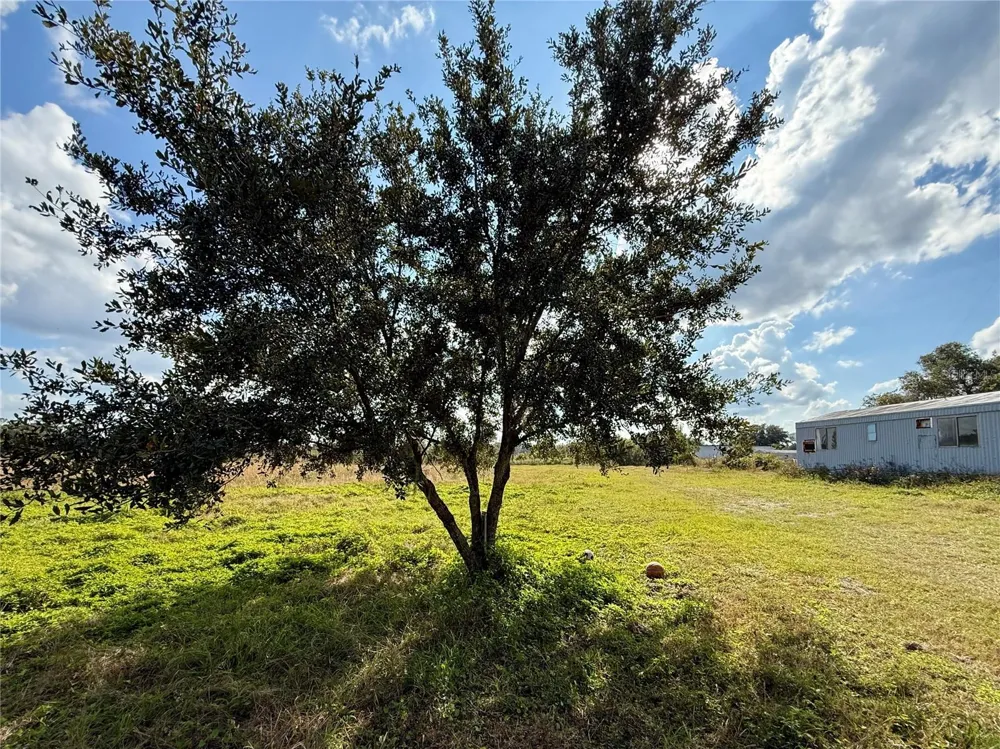 LOT 9 FORT CHRISTMAS ROAD Christmas, FL 32709