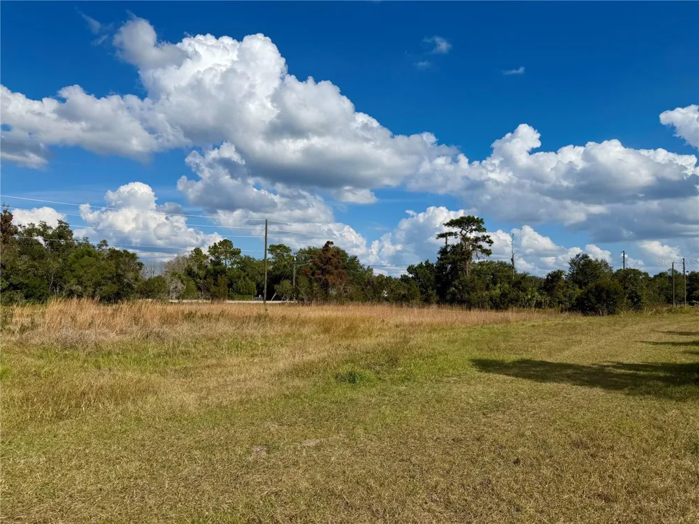 LOT 9 FORT CHRISTMAS ROAD Christmas, FL 32709